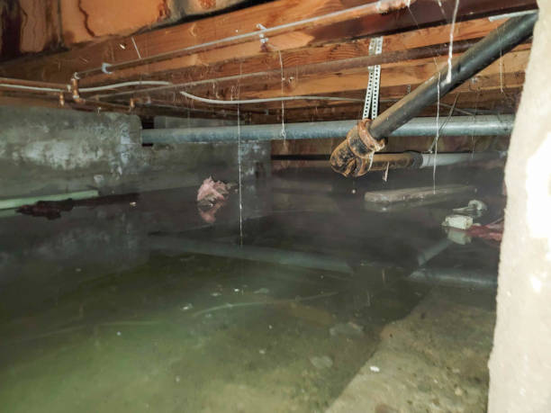 Best Water damage mitigation services  in Birchwood Lakes, PA