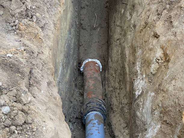 Best Professional water damage repair  in Birchwood Lakes, PA