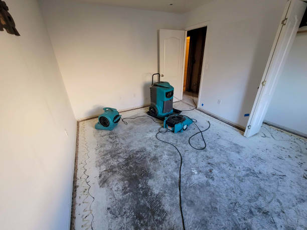 Best Sewage cleanup and water damage restoration  in Birchwood Lakes, PA