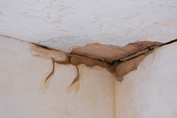 Best Water damage restoration process  in Birchwood Lakes, PA