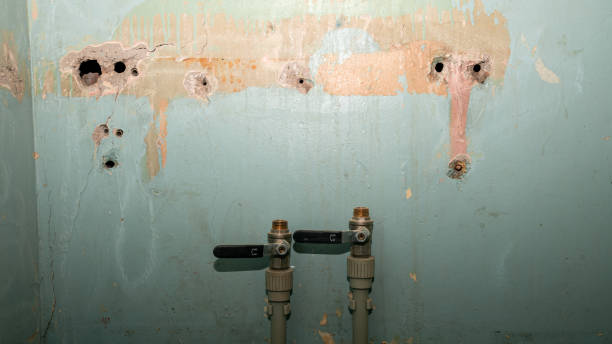 Best Local water damage restoration  in Birchwood Lakes, PA